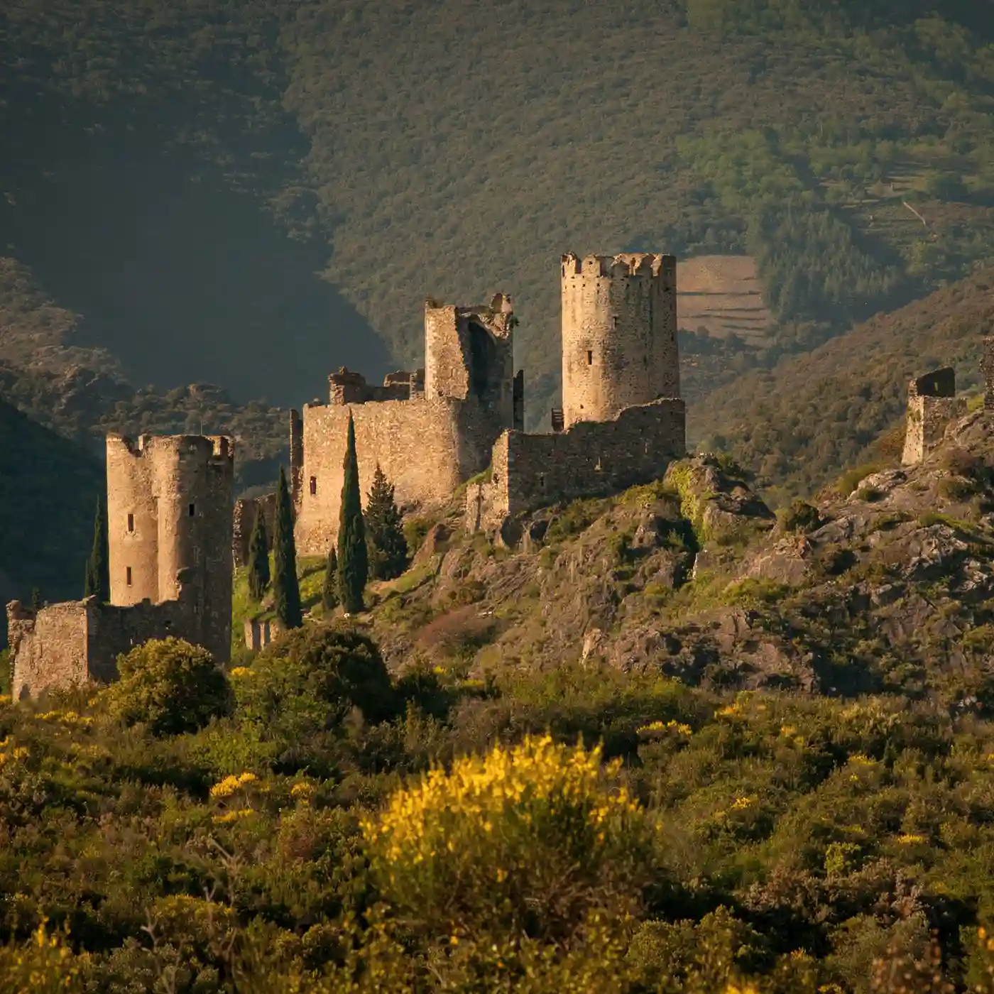 Châteaux et Pays Cathare